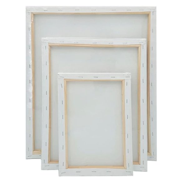 3 Pack - Blank Canvas with Wooden Frame for Painting Acrylic Paint, Oil Paint - Picture 2 of 13